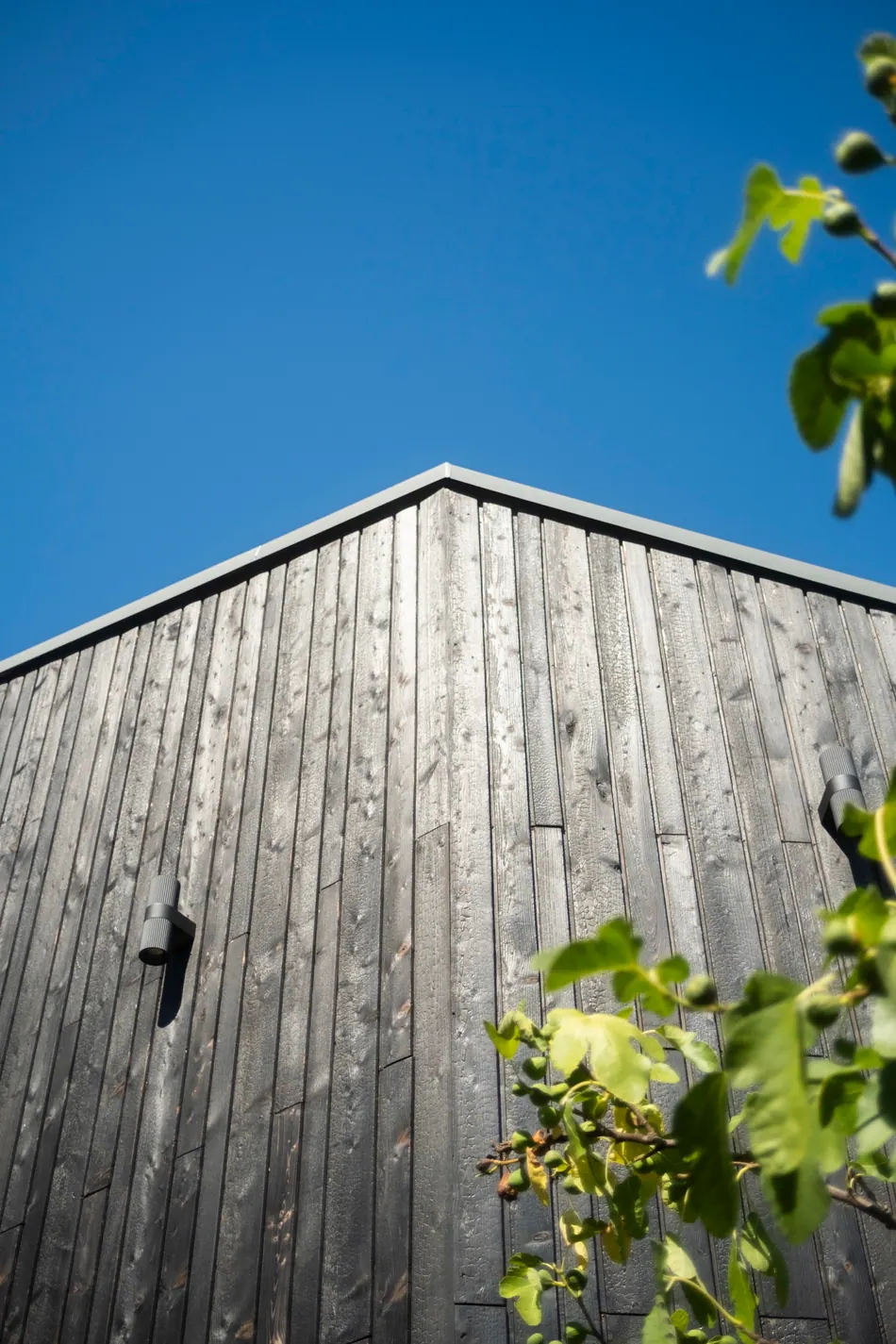 Fassade in Yakisugi – Fassadensanierung & Anbau