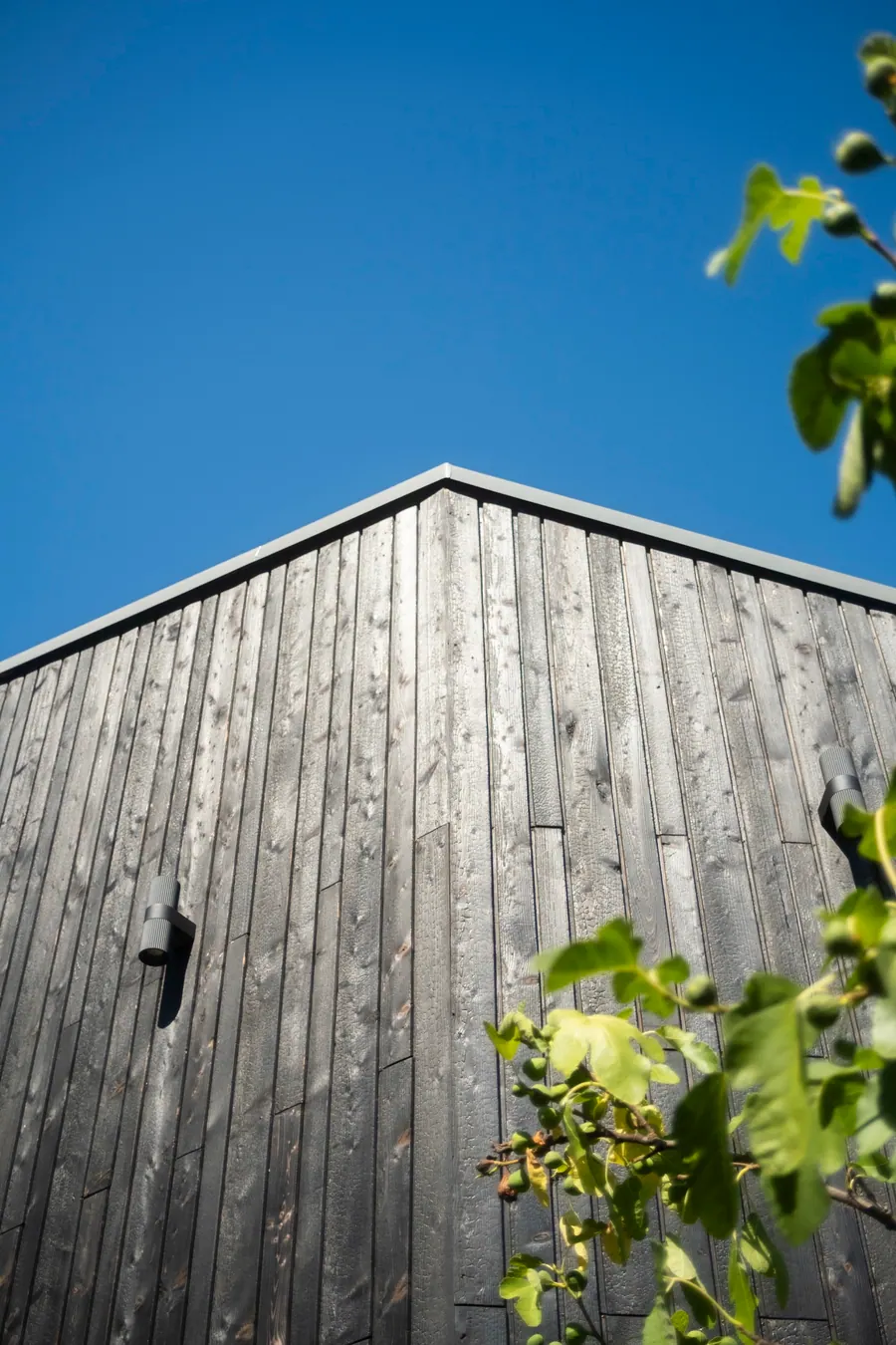 Fassade in Yakisugi – Fassadensanierung & Anbau
