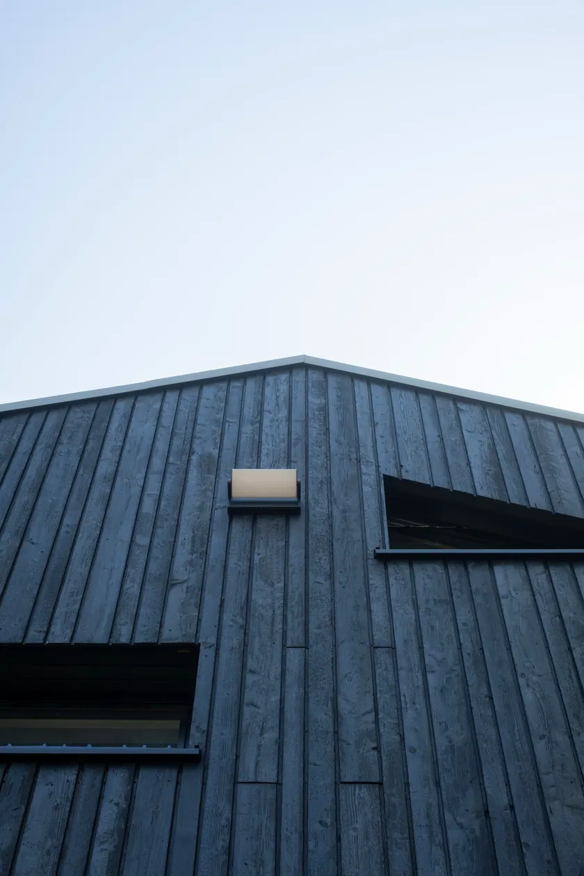 Fassade in Yakisugi – Detailansicht 4
