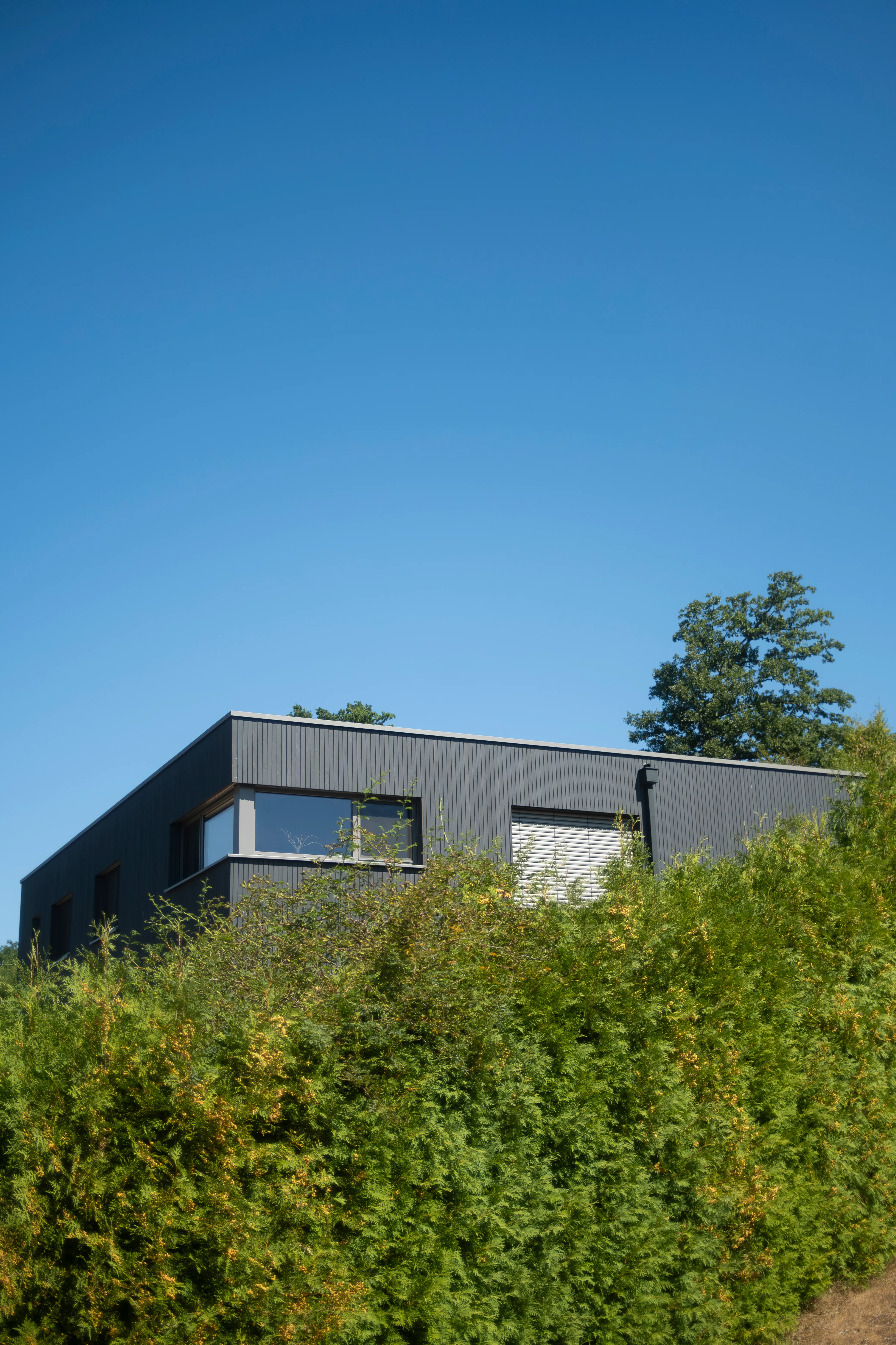 Modernes Wohnhaus mit schwarzer Holzfassade am Hang